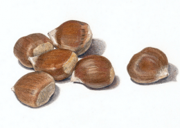 Pencil Artist Sarah Melling