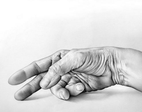 Pencil Artist Cath Riley