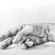 Pencil Artist Cath Riley