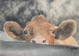 Pencil Artist Mark Langley