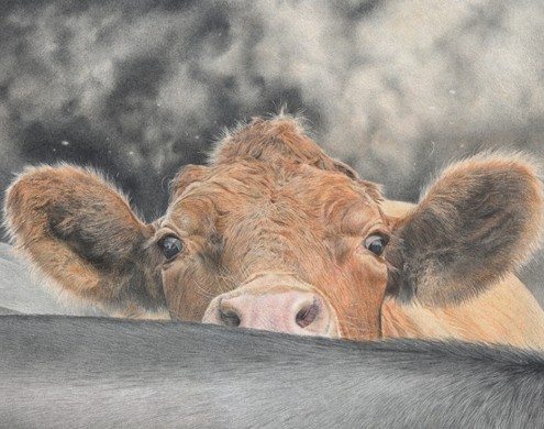 Pencil Artist Mark Langley