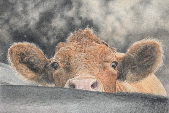 Pencil Artist Mark Langley