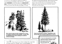 Lesson Plan Sustained Yield Forest