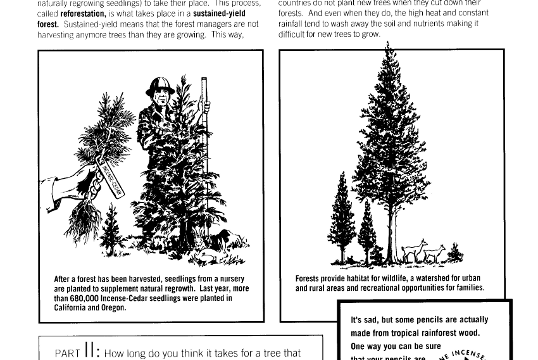 Lesson Plan Sustained Yield Forest