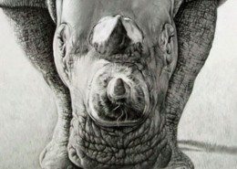Pencil Artist Jonny Lancaster
