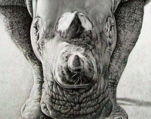 Pencil Artist Jonny Lancaster