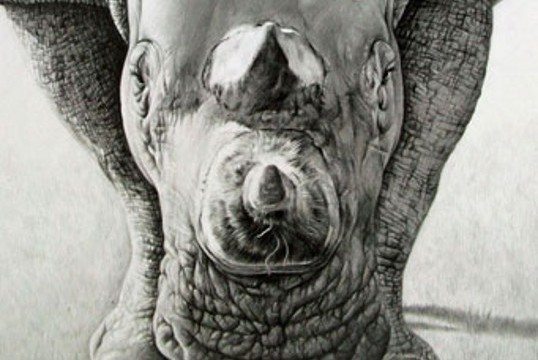 Pencil Artist Jonny Lancaster