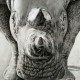 Pencil Artist Jonny Lancaster