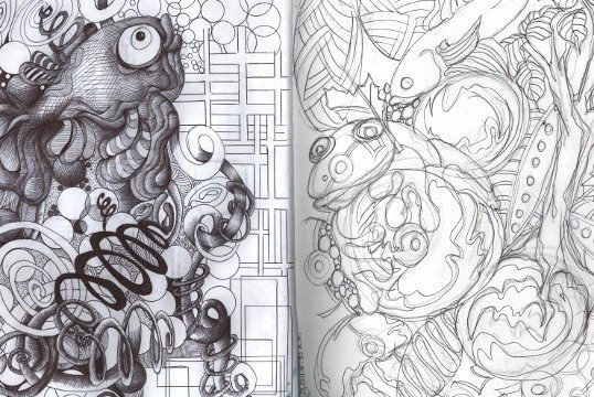 Pencil Artist Bonnie Jean Woolger