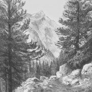 Drawing Tips