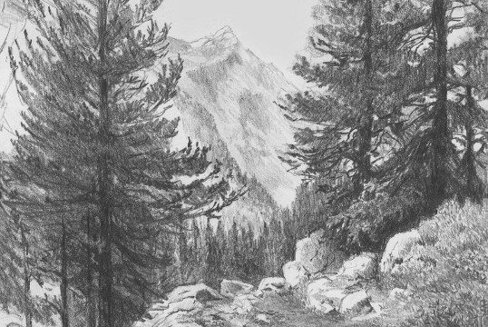 Drawing Tips
