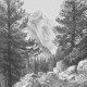 Drawing Tips