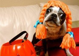 Creative Costume Ideas
