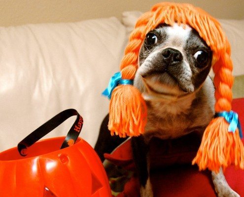 Creative Costume Ideas
