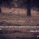 Huxley Quotation with image of Valley Oak