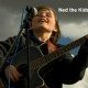 Songwriter Ned the Kids Dylan