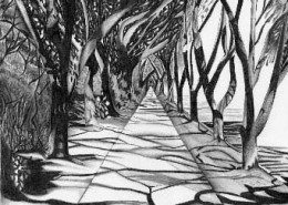 Pencil Artist Nicole Fekaris