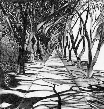 Pencil Artist Nicole Fekaris