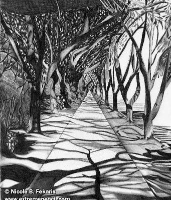 Pencil Artist Nicole Fekaris