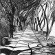 Pencil Artist Nicole Fekaris