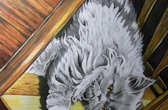 Pencil Artist Scott Wilke