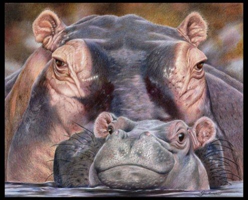 Pencil Artist Gemma Gylling