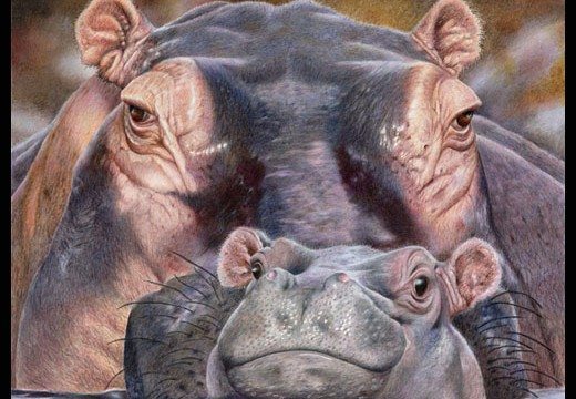 Pencil Artist Gemma Gylling