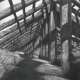 Pencil Artist Denis Chernov
