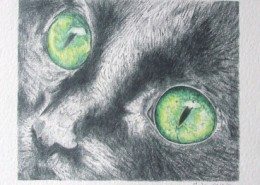 Pencil Artist Jude Robinson