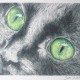 Pencil Artist Jude Robinson
