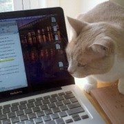 Thesis Writing Tips