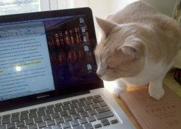 Thesis Writing Tips