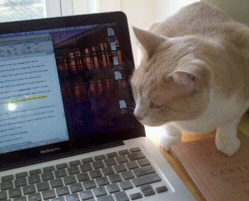 Thesis Writing Tips