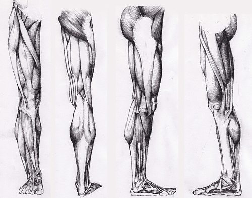  Pencil Artist Littlebori