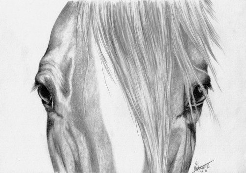 Pencil Artist Robydude