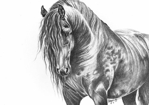 Pencil Artist Robydude