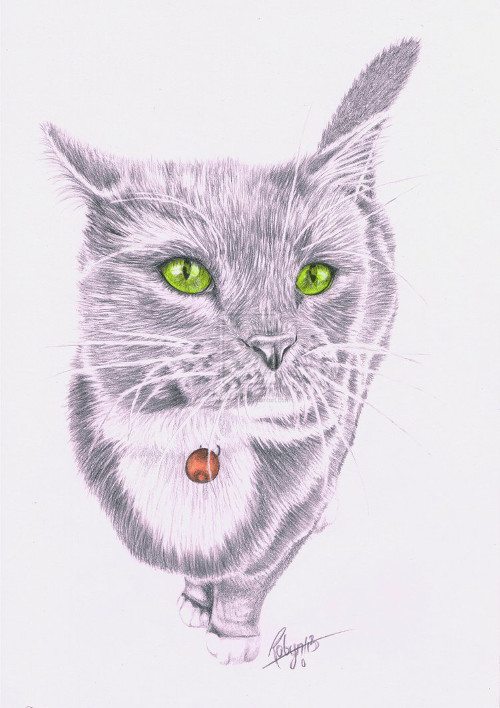 Pencil Artist Robydude