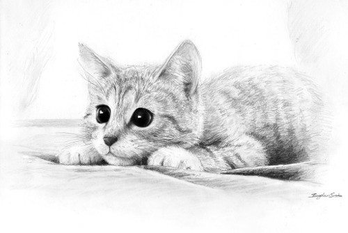 Pencil Artist the Flying Magpie