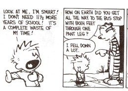 Calvin and Hobbes