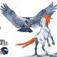 Super Bowl XLVIII