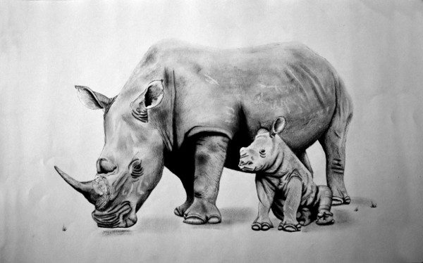 Rhino&Calf