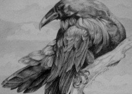 Pencil Artist 00rej