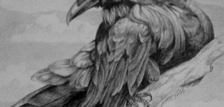 Pencil Artist 00rej