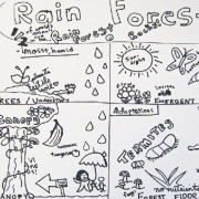 Visual Note Taking