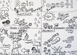 Visual Note Taking