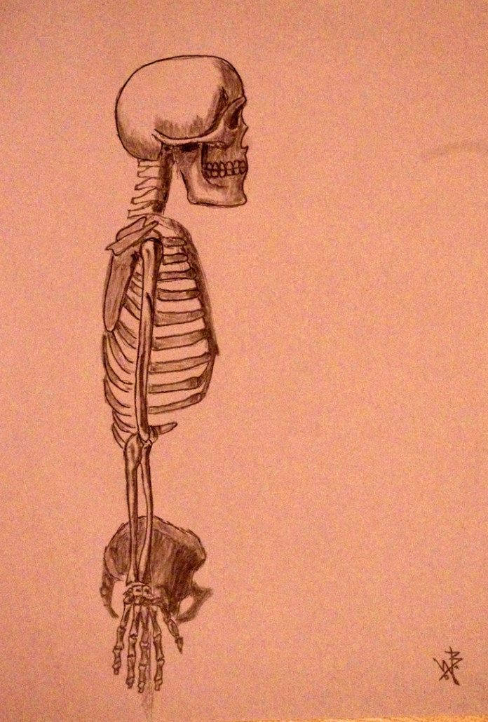 Pencil Artist Wolfgang Burgmayr