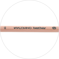 ForestChoice School Pencils