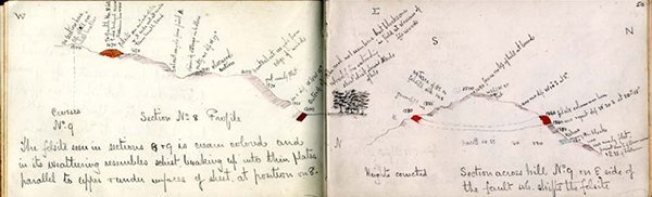 Henry Cadell Field Notes