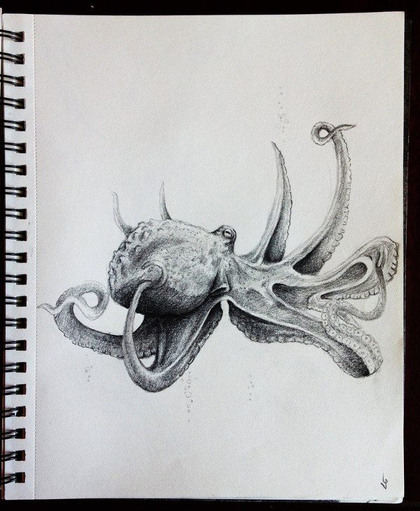 Pencil Artist Veronika G. 