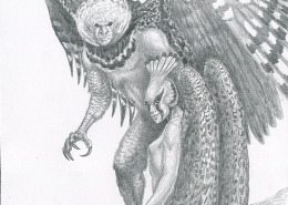 Drawings by Brad Tabar